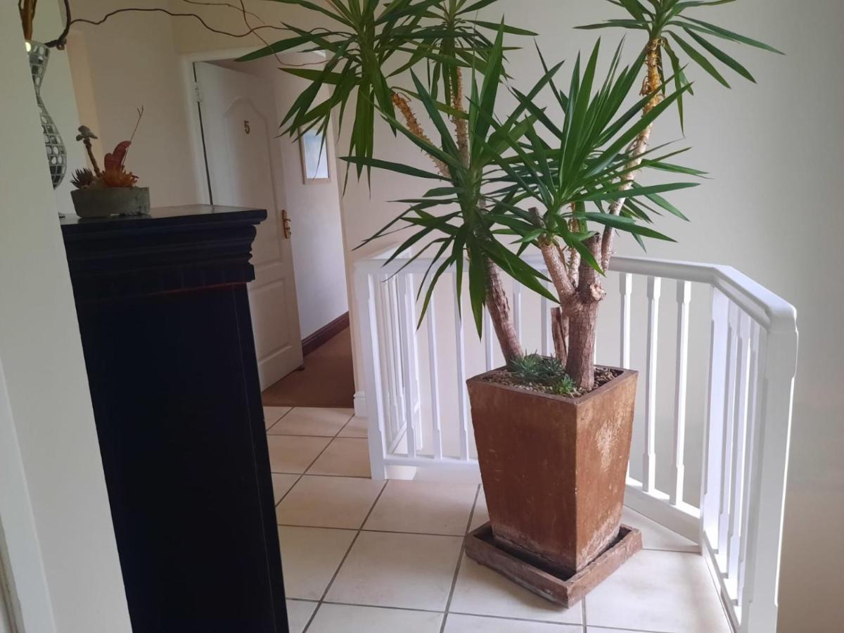 مبيت وإفطار كنيسنا 6 On Protea المظهر الخارجي الصورة